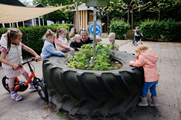 Kwaliteit en veiligheid