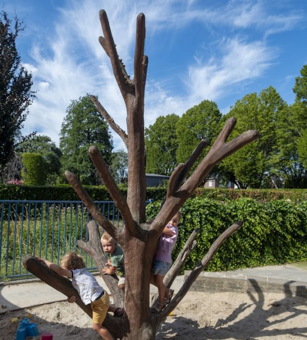 Kwaliteit en veiligheid