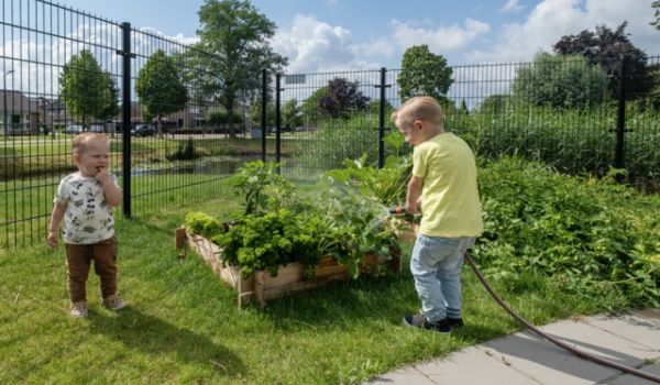 Kwaliteit en veiligheid