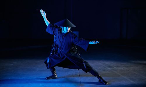 Ninja